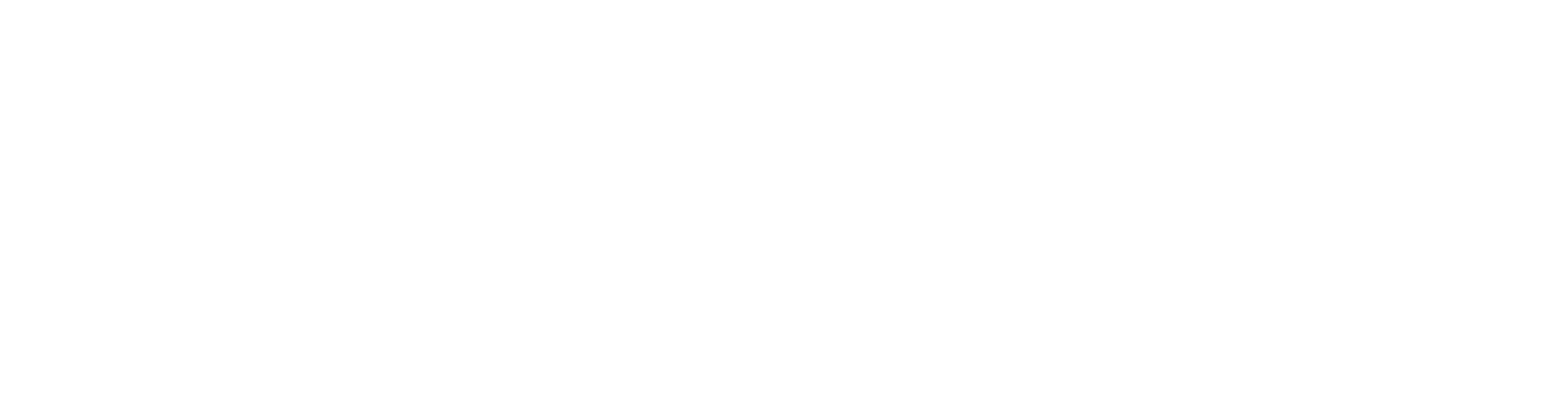 Rayzon Solar Logo