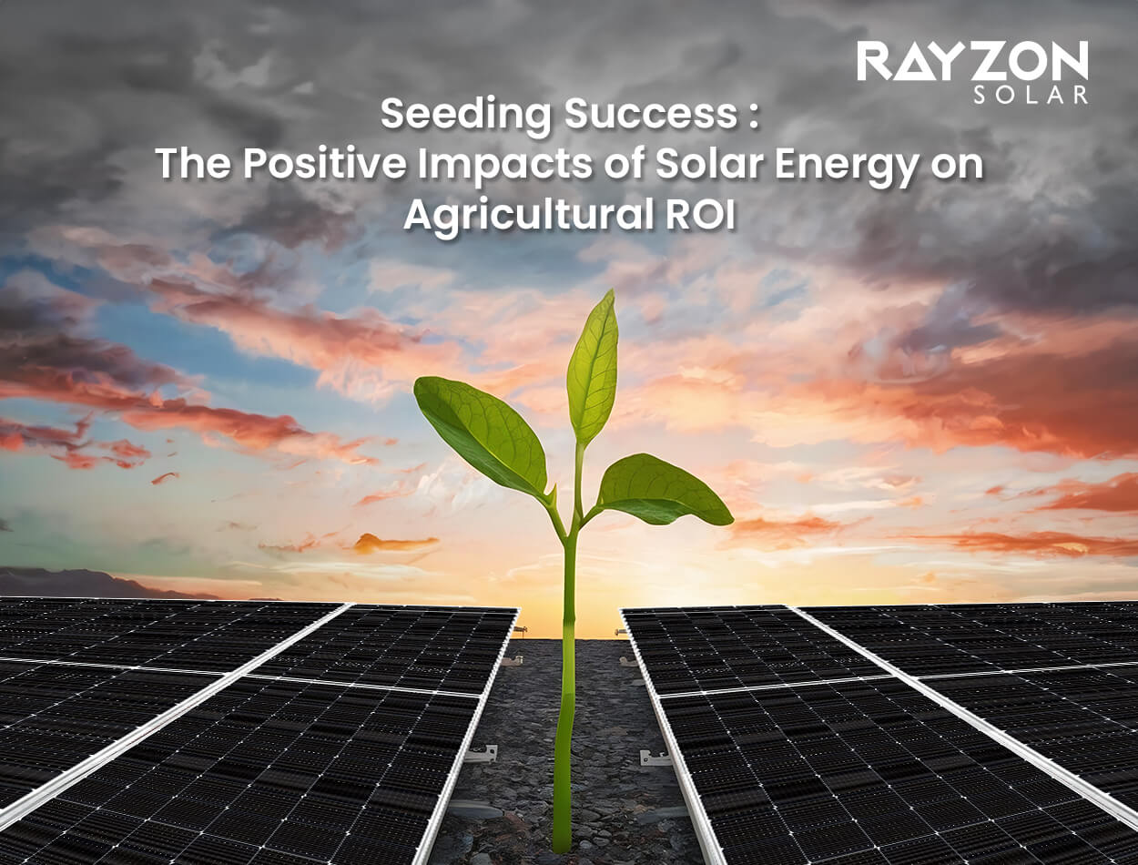 Seeding Success: The Positive Impacts of Solar Energy on Agricultural ROI