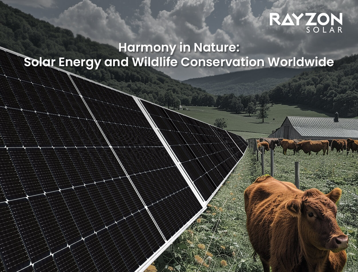 Rayzon Solar - Solar Energy and Wildlife