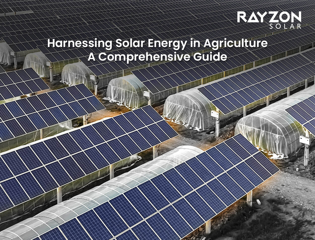 Rayzon Solar - Solar Energy in Agriculture