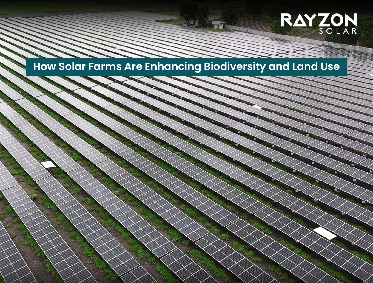 A solar farm with pollinator-friendly vegetation and optimized land use for biodiversity conservation.