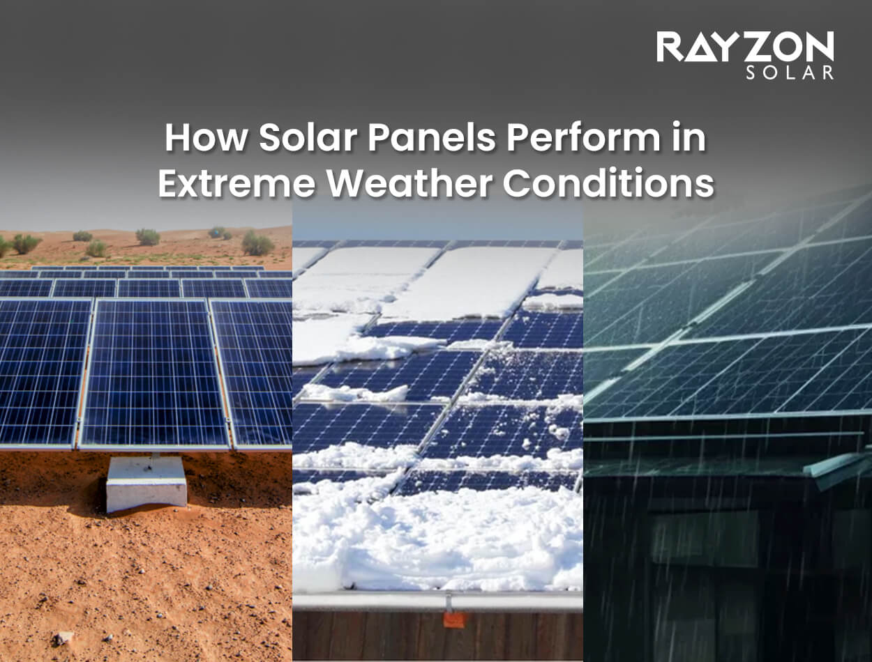 Rayzon Solar panels performing efficiently in extreme weather conditions like heat, snow, storms, and high winds, showcasing their durability and reliability.